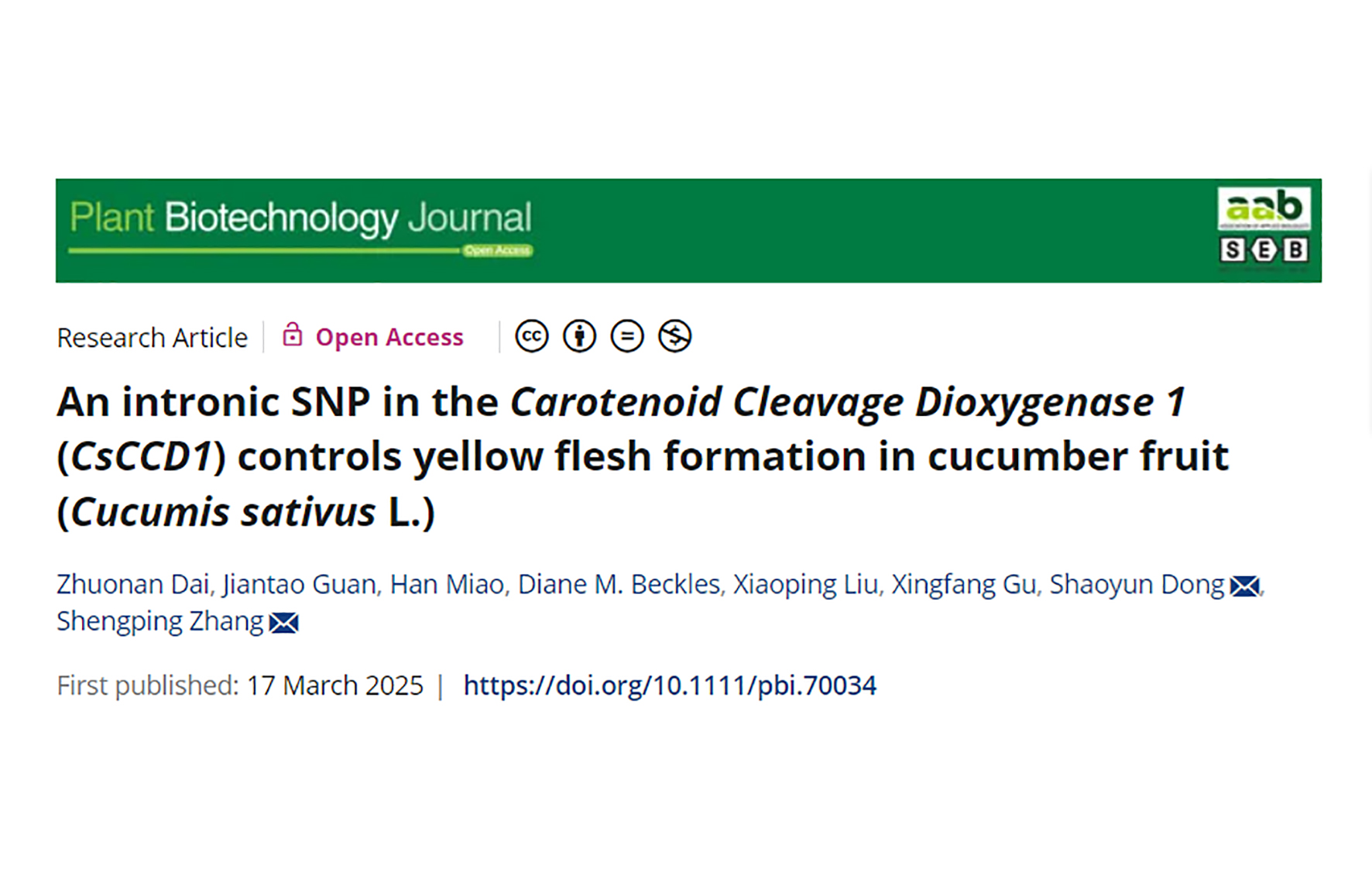 Zhang Shengping's Team develops new cucumber germplasm with high carotenoid content and reveals novel metabolic regulation mechanisms
