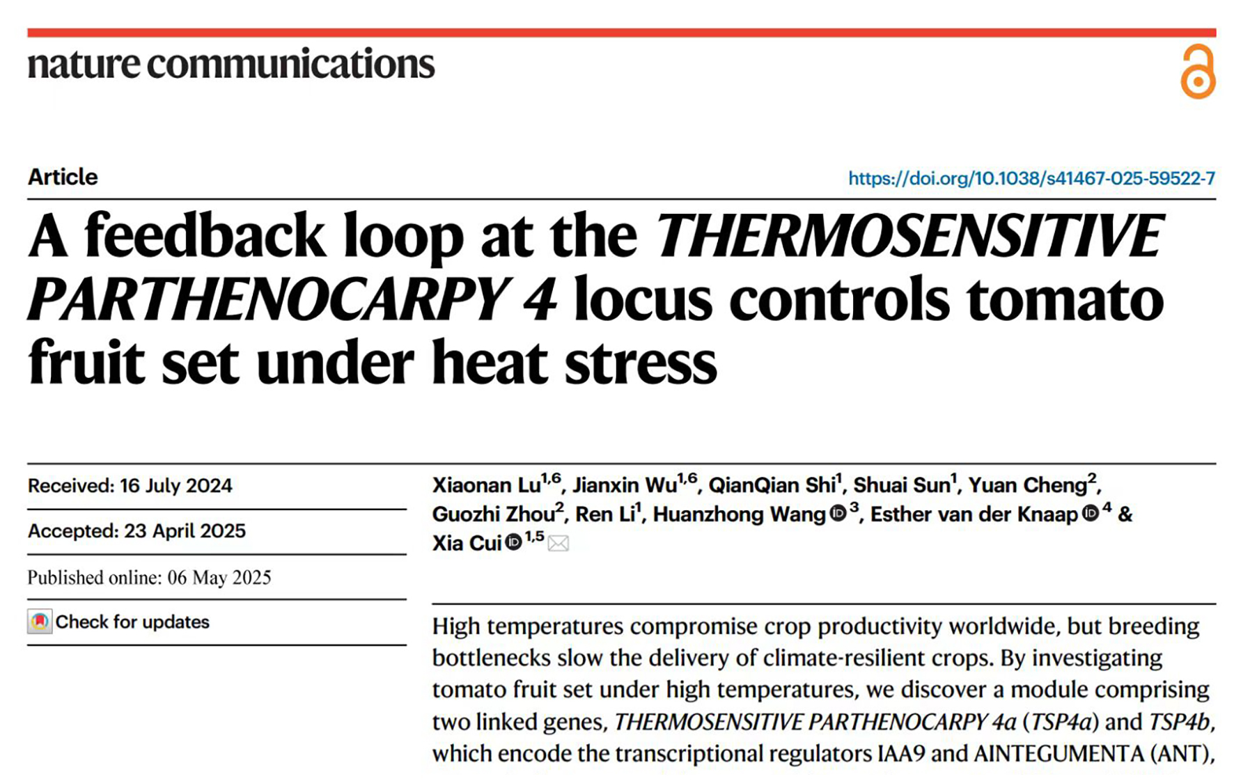 Nature Communications | Vegetable and Flower Research Institute uncovers new mechanism regulating tomato parthenocarpy under high temperature