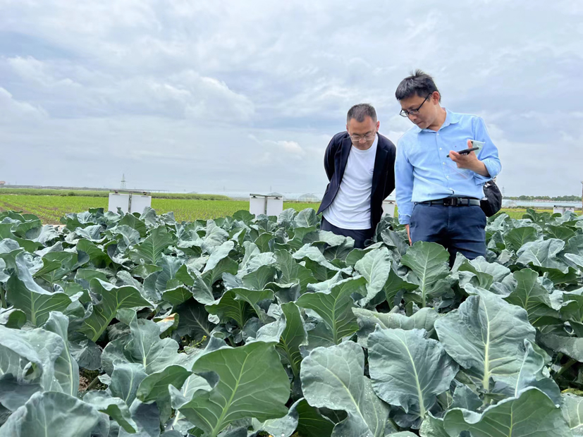摩根体育

赴浙江萧山指导国产青花菜潜力品种筛选.jpg