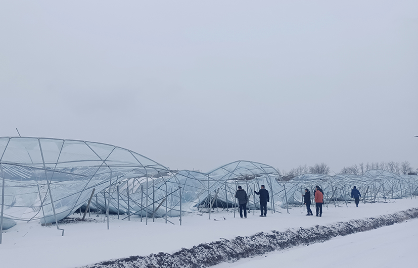 4 王艳研究员率小分队在安徽调研灾害情况.jpg