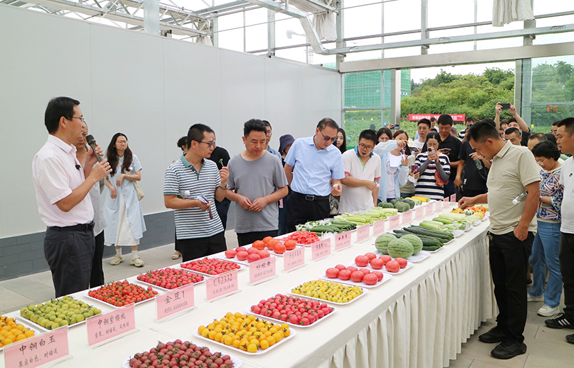 5瓜果品鉴.JPG