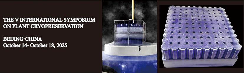 1背景图 - 副本.jpg